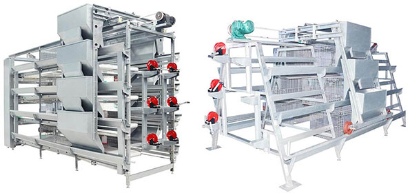 a typr and h type cage